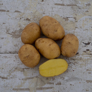 Seed Potato - 'German Butterball' (by the pound)